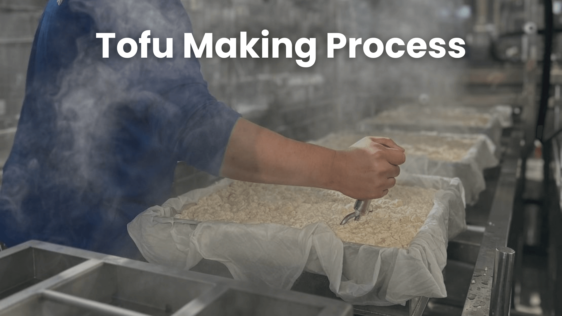 Tofu Making Process | Discover the Health and Sustainability Benefits